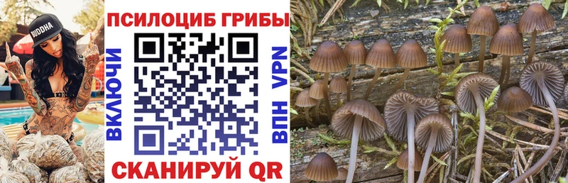 Псилоцибиновые грибы ЛСД  МЕГА ссылки  Козельск 
