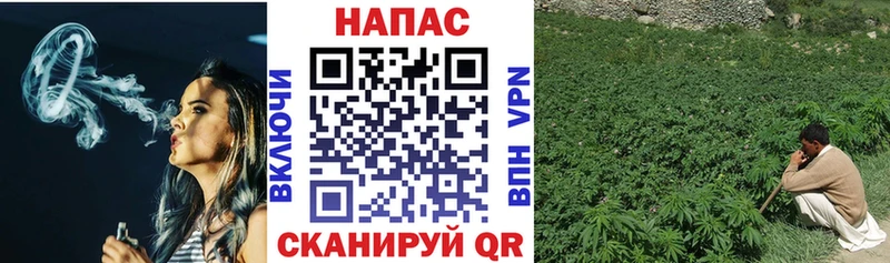 купить наркоту  Козельск  omg   Канабис OG Kush 